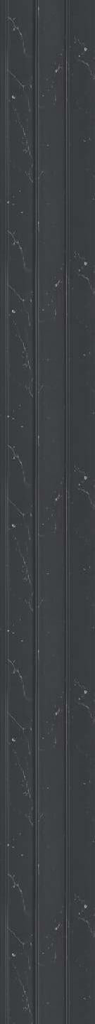 Black Charcoal Louvers Panel Sleek & Splendid Series Plain Colors 8x0.41 Ft - Sa 2003