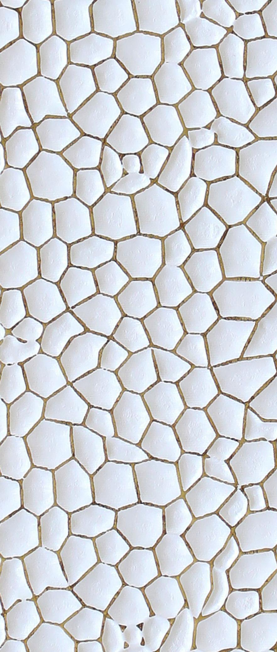 Grace 2122 Series Decorative Wall Panel Designer White 8x2 Ft - 10013