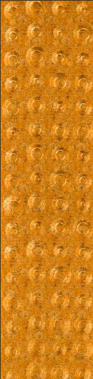Decorative Wall Panel Designer Gold 8x2 Ft - 2A 01902