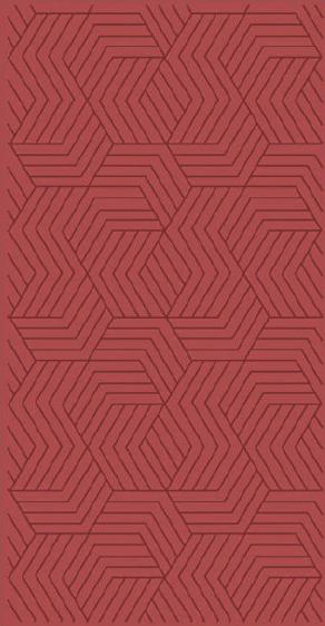 Color Box Red Decorative Wall Panel 8x4 ft designer louvers Red 2015