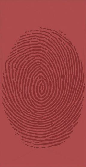 Color Box Red Decorative Wall Panel 8x4 ft designer louvers Red 2020