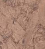 Brown Charcoal Louver Panel Designer 8x2 Ft - Rc 3328