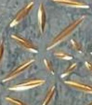 Grey Charcoal Louver Panel Designer 8x2 Ft - Rc 913