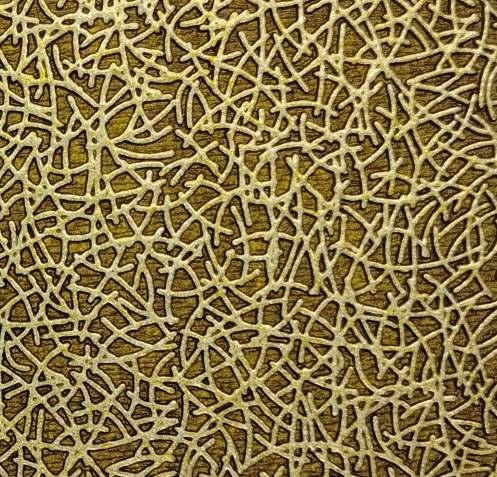 Charcoal Decorative Wall Panel Designer Gold 8x2 Ft - 1107