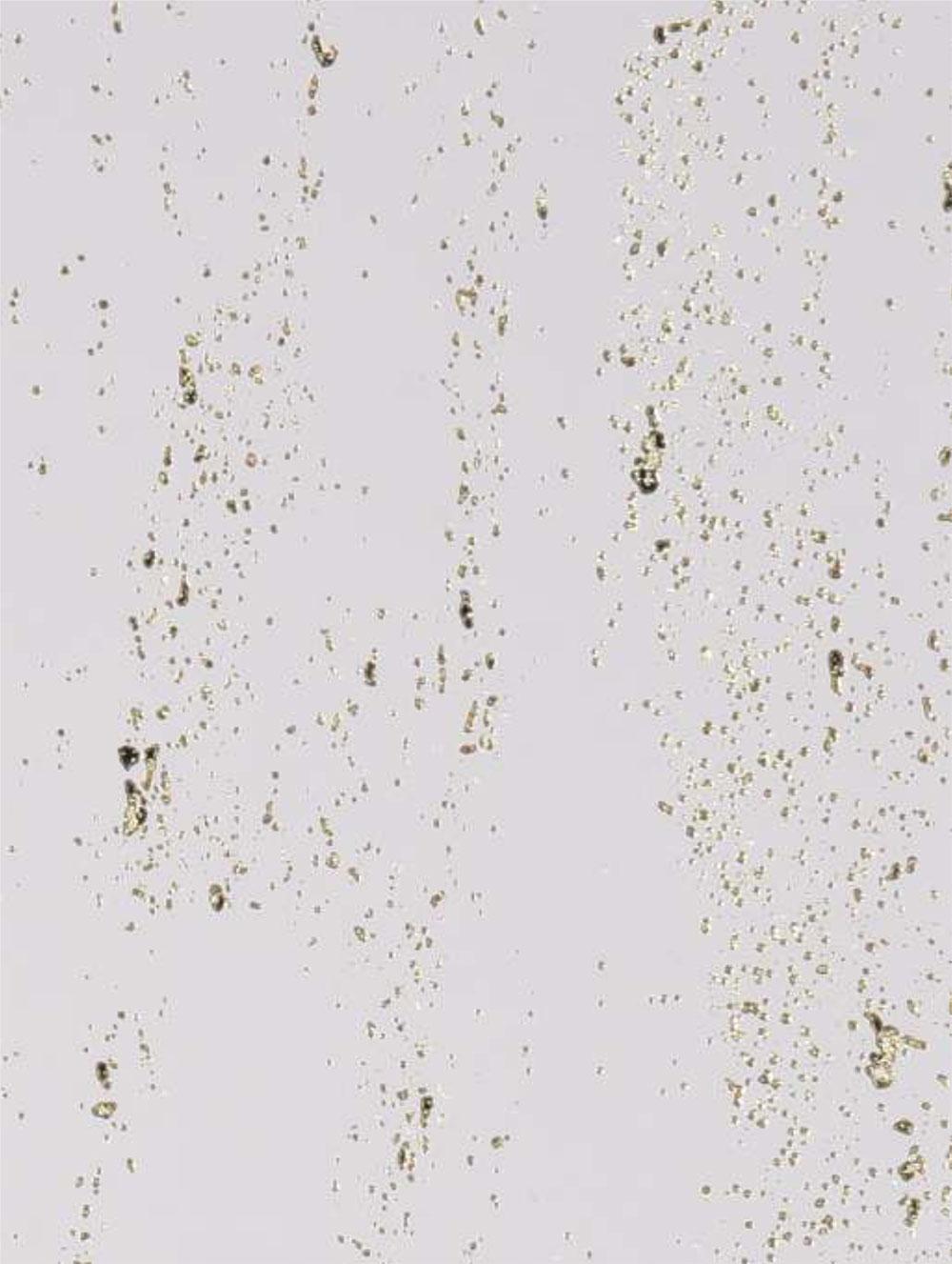 Charcoal Decorative Wall Panel Marble & Stone White 8x2 Ft - Ed 501