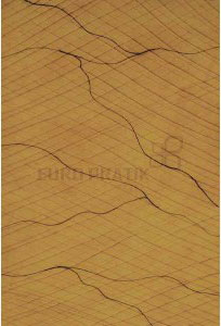 Brown marble wall panel with textured finish and veining pattern, Euro Pratik logo visible in the center of the image