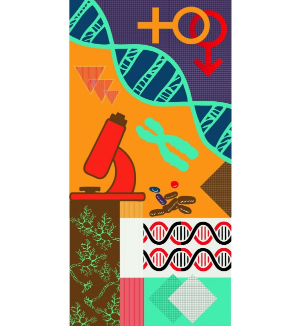 Multi-coloured abstract designer laminate with suede finish, featuring geometric patterns and DNA helix design elements.