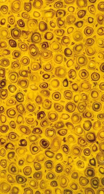 Lucento 10802 Yellow Terrazzo Texture Wall Panel