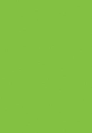 Popinjay Green Pre-laminated MDF — Greenpanel Exquisite Series