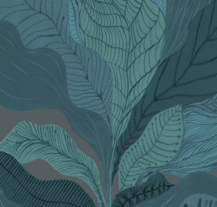 Hohenberger Peacock wall mural swatch