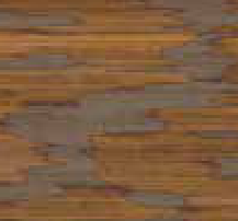 Hohenberger Maracuja wallpaper swatch