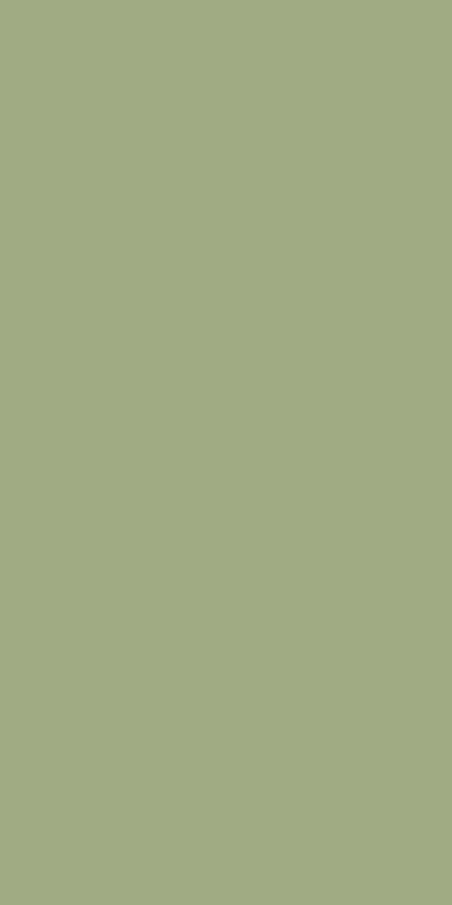 Pista Green Solid Colors Laminate 8x4 ft Suede 1.0 mm - 276 SU — colour swatch