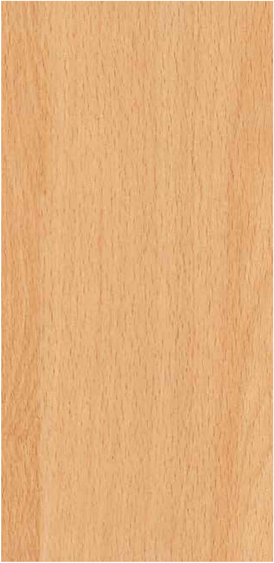 Intal Beech pre-laminated MDF board by Century Prowud