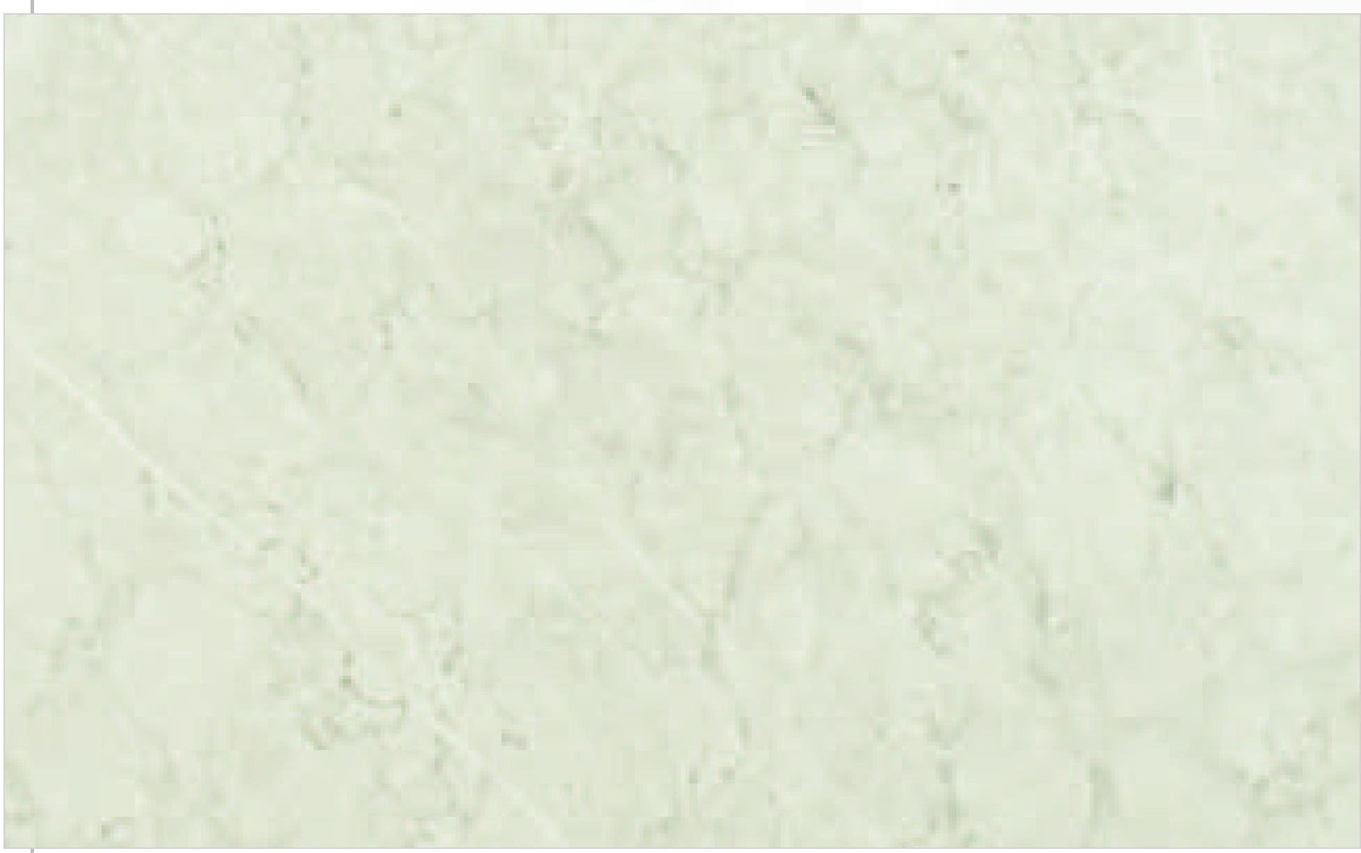Matte decorative mdf sheet with light green marble texture and subtle veining pattern.