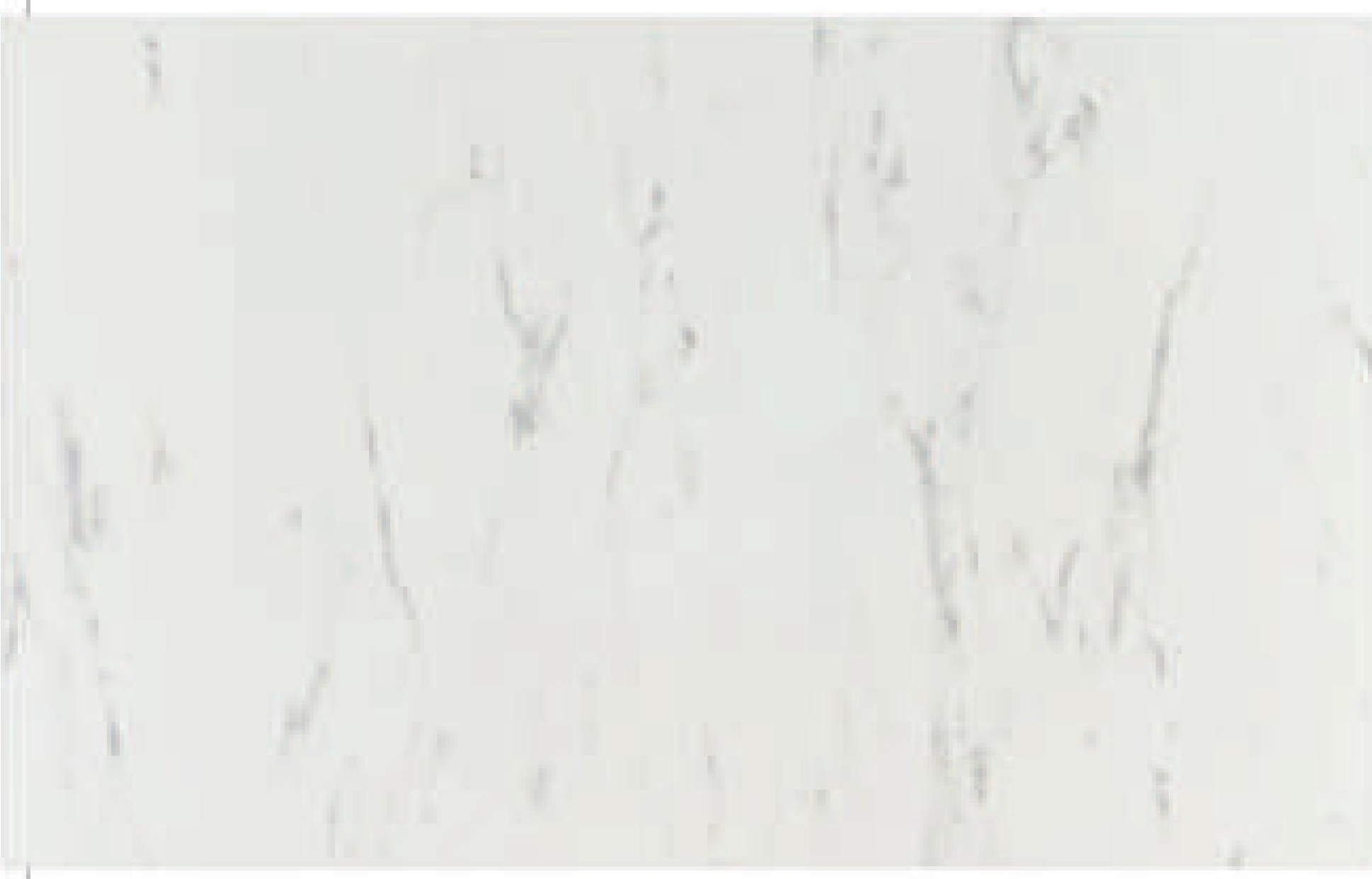 White marble-patterned decorative MDF sheet with subtle gray veining and textured finish.