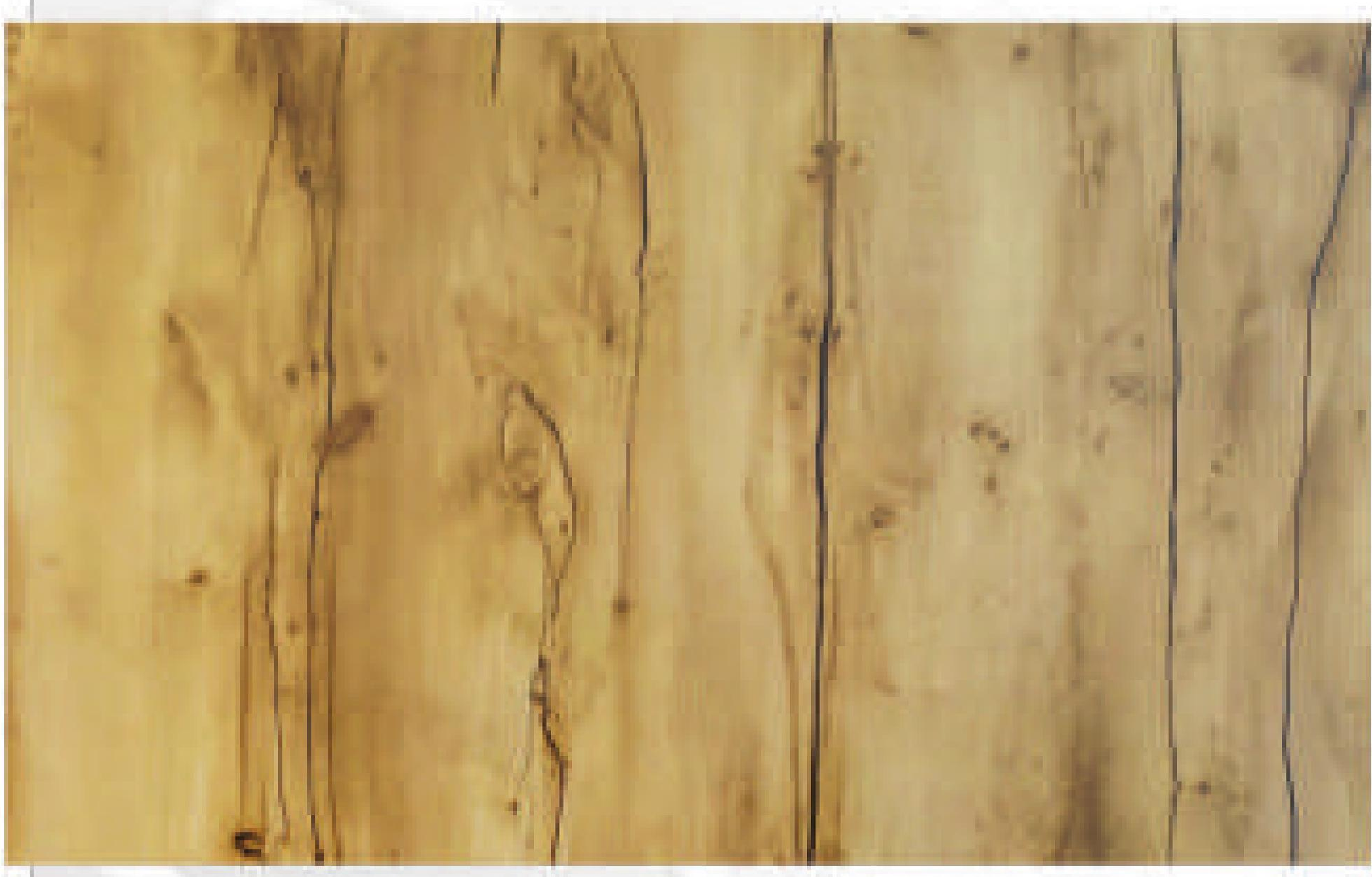 Light brown decorative mdf with wood grain texture and vertical dark streaks.