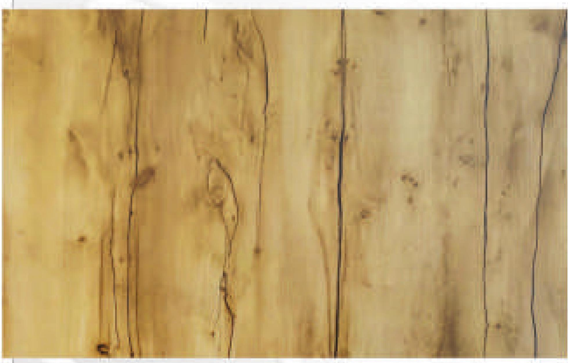 Light brown decorative mdf with wood grain texture and vertical dark streaks.