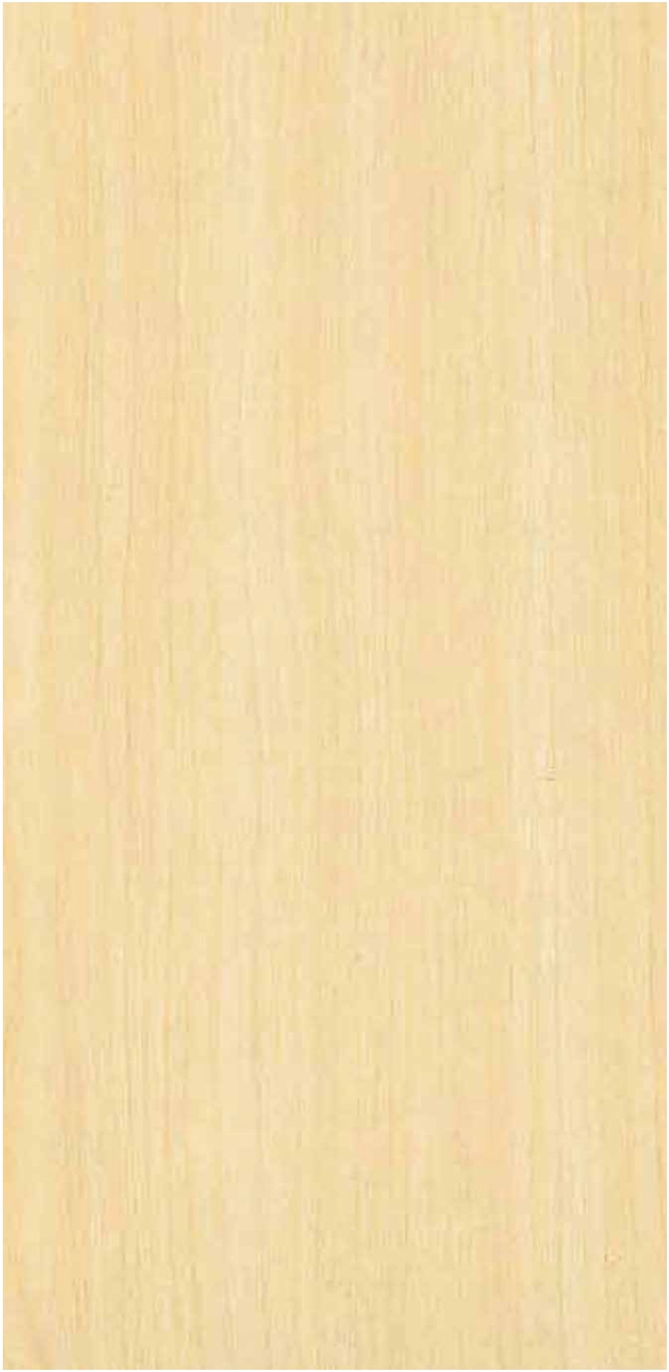 Fusion Maple pre-laminated MDF board by Century Prowud