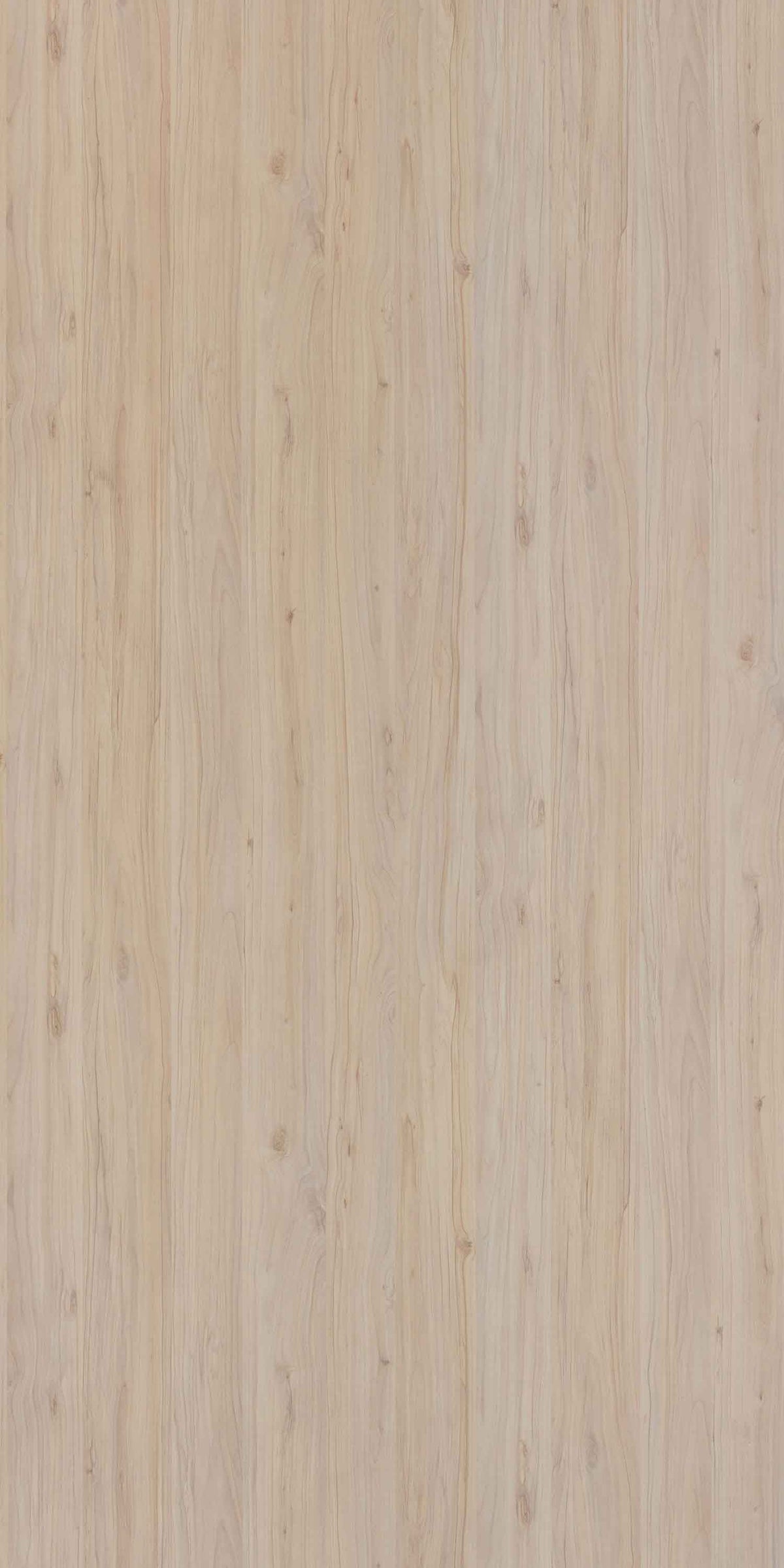 Applewood Light Laminate 8x4 ft 1.0 mm - 3741 VO – Next Level Decor Chennai