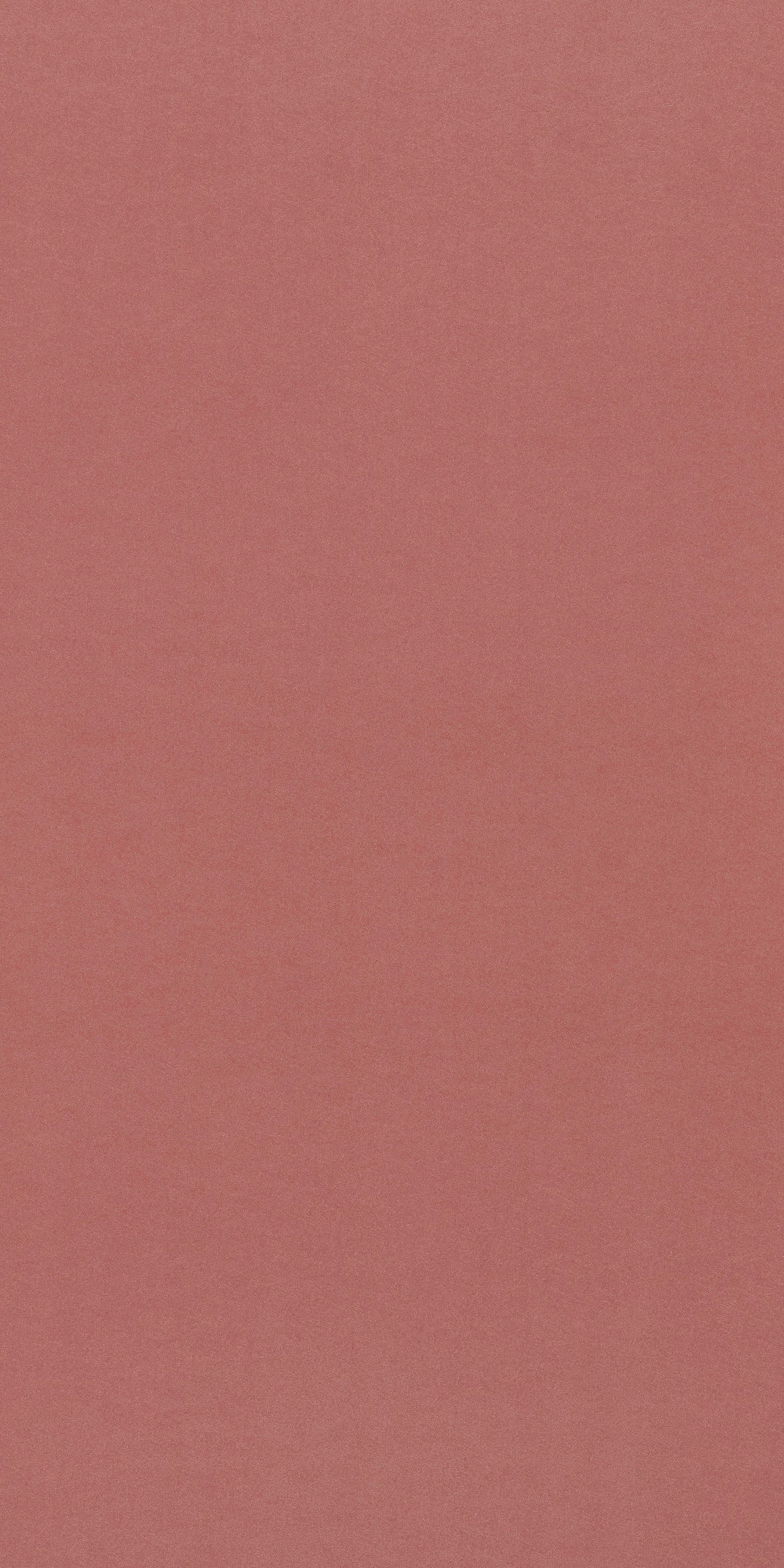 Pink suede finish solid color laminate with matte texture and uniform color tone