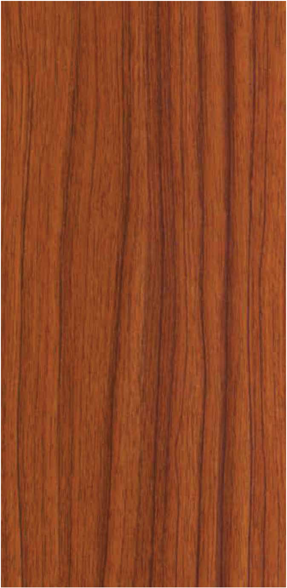 Nayana Teak pre-laminated MDF board by Century Prowud