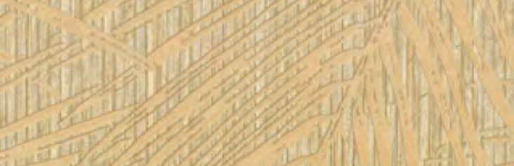 JWall Beige wallpaper swatch