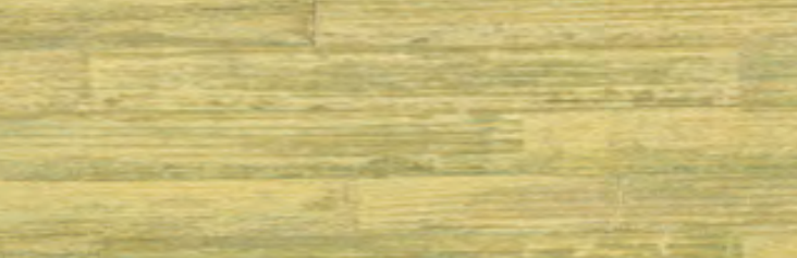 JWall Beige wallpaper swatch