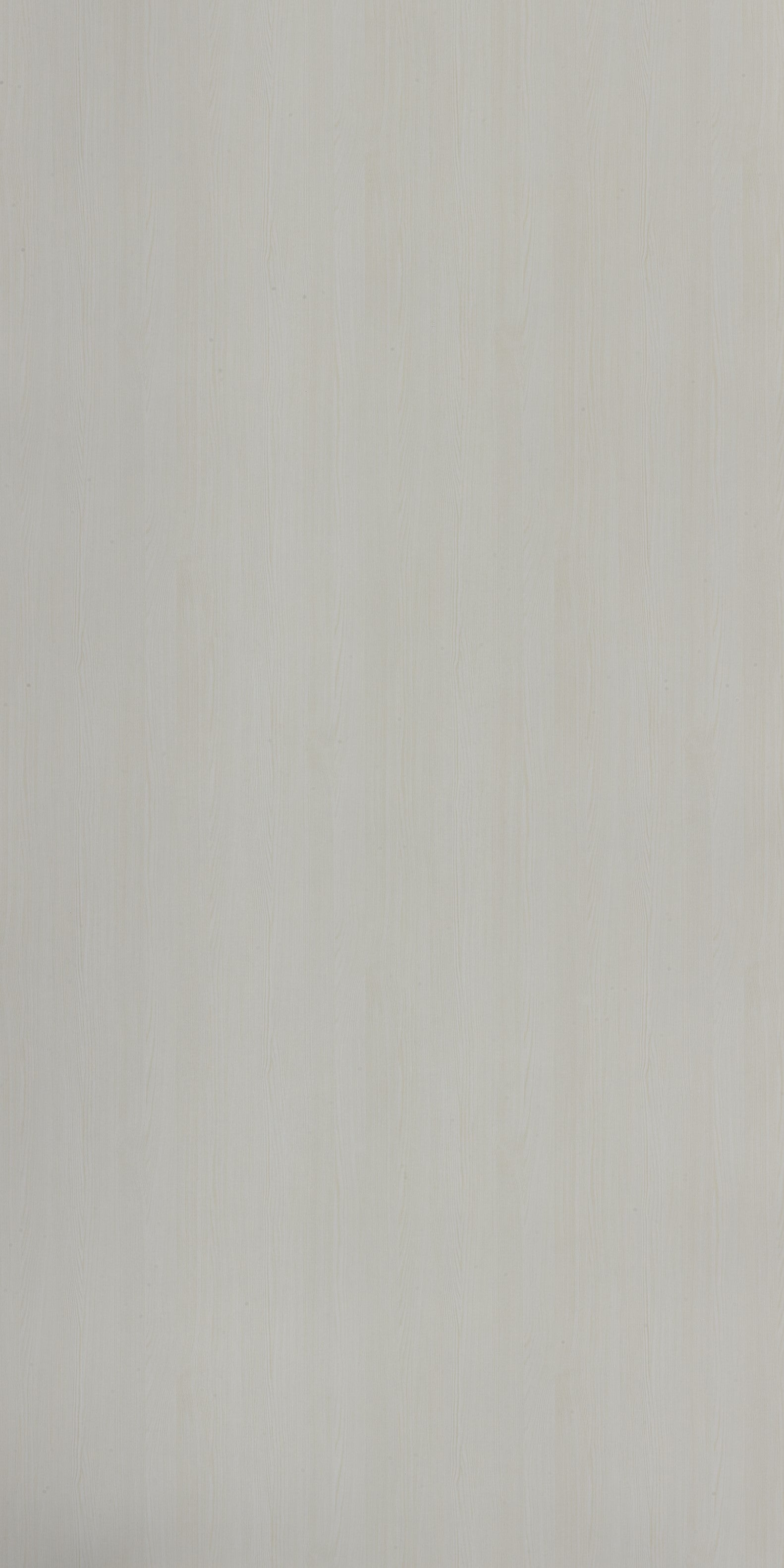 White wood laminate with suede finish and wood grain texture