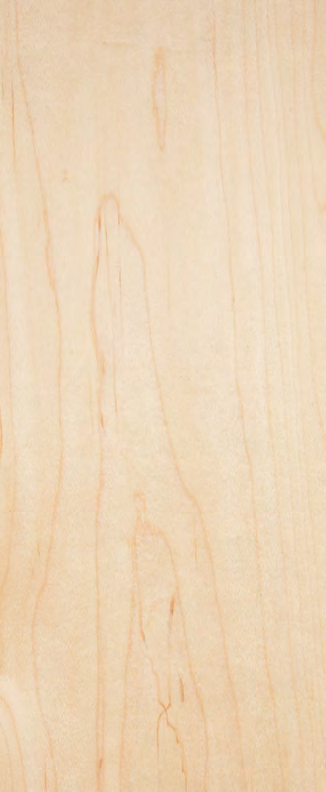 Inoui Veneers American Maple Natural Veneer 8x4 ft Beige