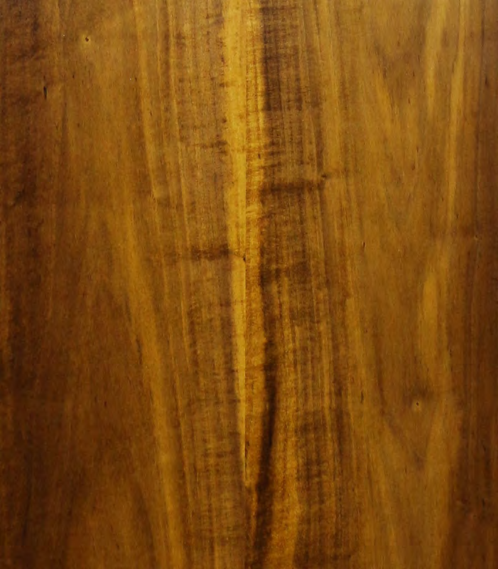 Inoui Veneers Cherry Blossom Natural Veneer 8x4 ft Brown