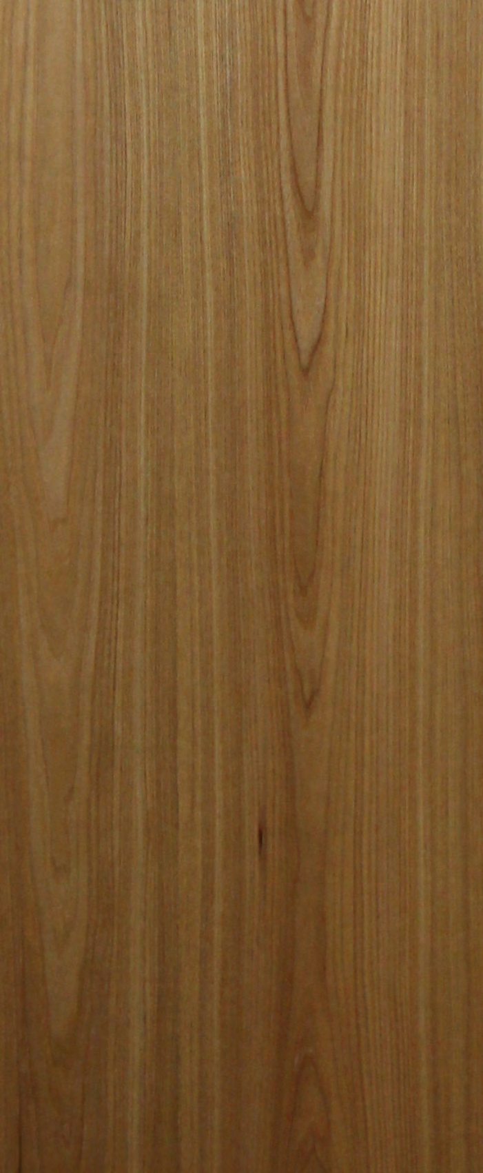 Inoui Veneers Red Elm Natural Veneer 8x4 ft Beige