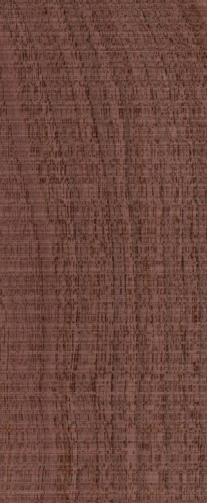 Inoui Veneers Rufftex Walnut Natural Veneer 8x4 ft Brown