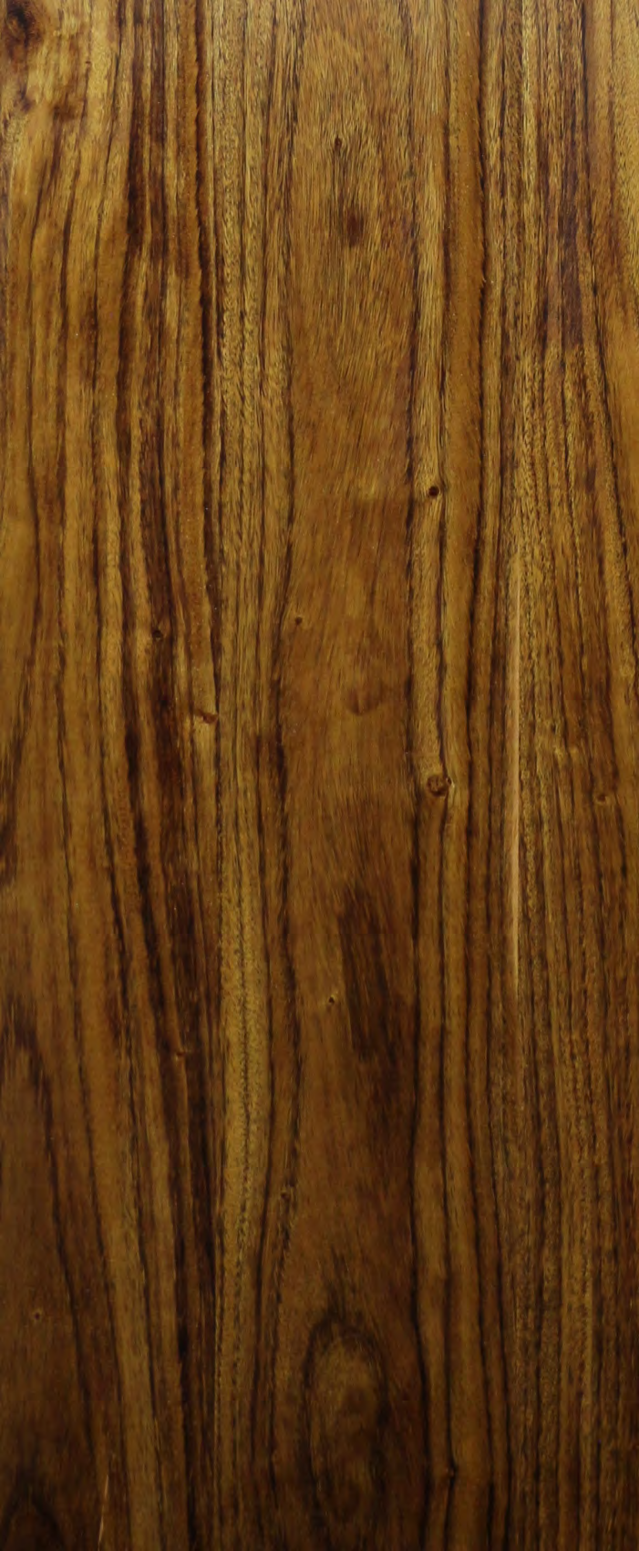 Inoui Veneers Russian Chestnut Natural Veneer 8x4 ft Brown