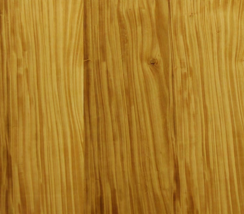 Inoui Veneers Thailand Teak (Hz) Natural Veneer 8x4 ft Brown