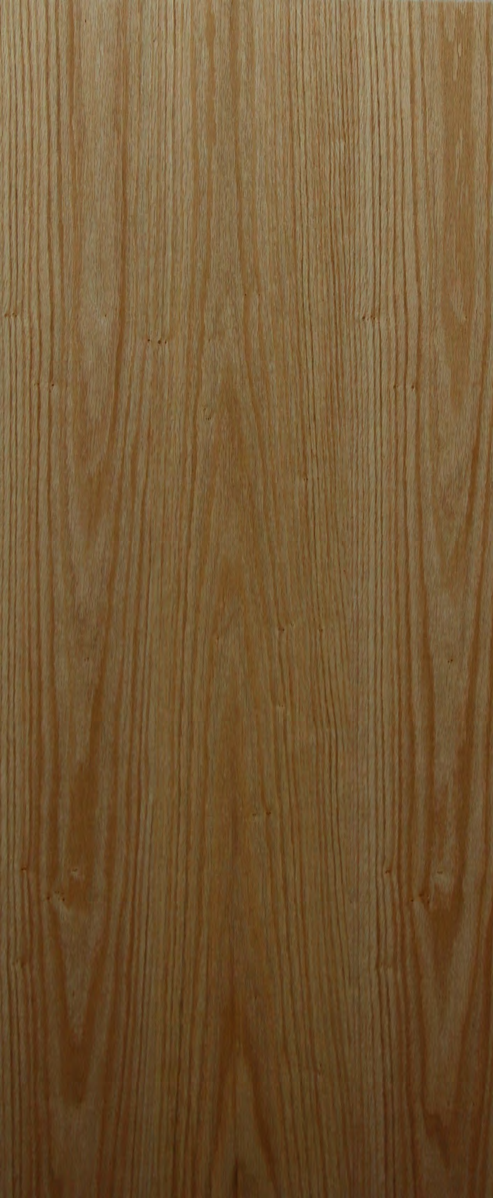 Inoui Veneers White Oak Natural Veneer 8x4 ft Beige