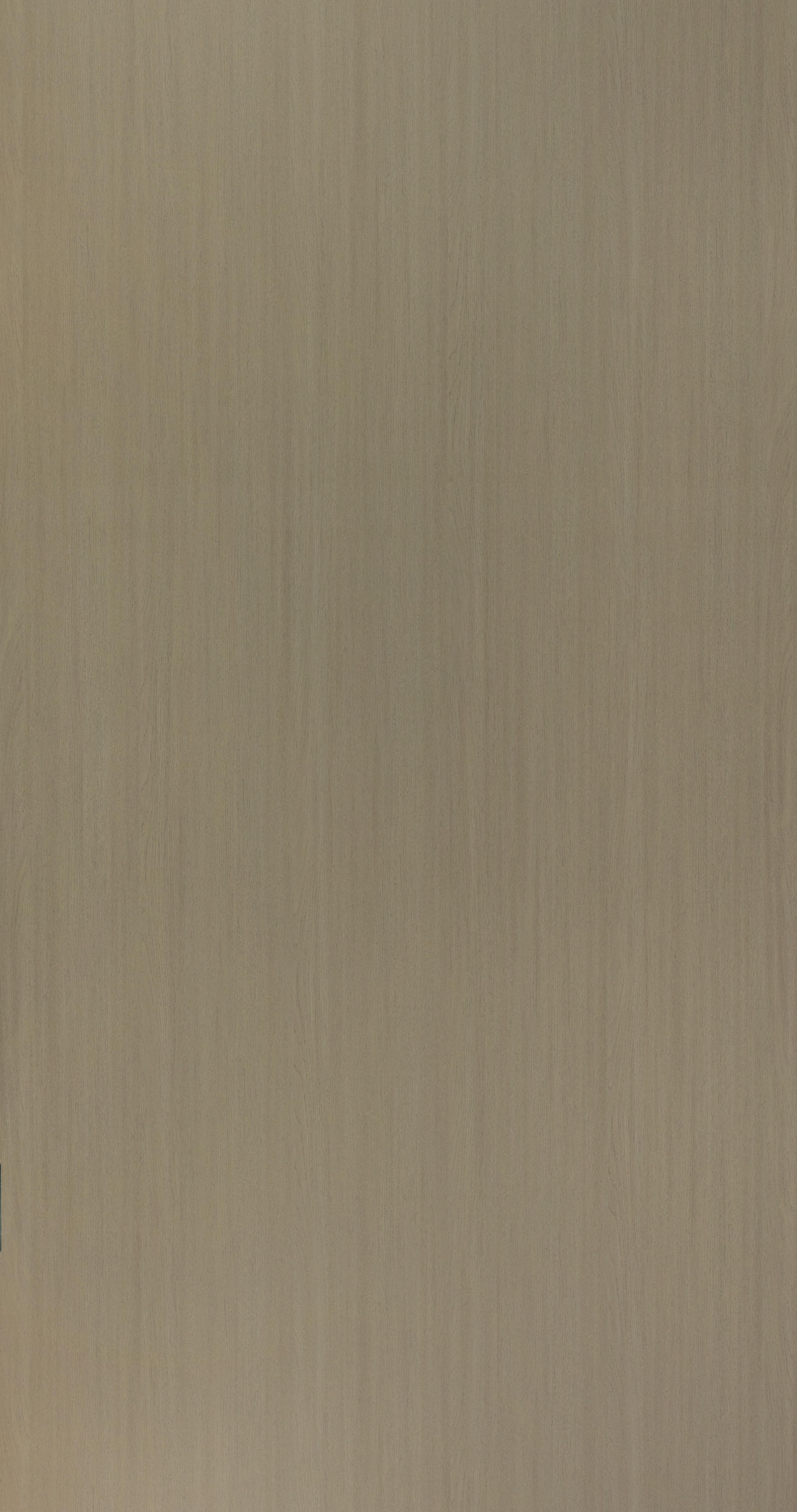 Bionda Oak Wood Laminate 8x4 ft Texture 1 mm - 0160 ZRE