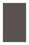 Cadiz Walnut Wood Laminate 8x4 ft Suede 1 mm - 1002 SF