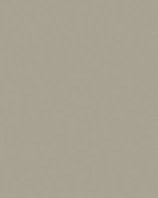 AXI Off White Plain Laminate 8x4 ft Texture 1 mm - 102 RYL