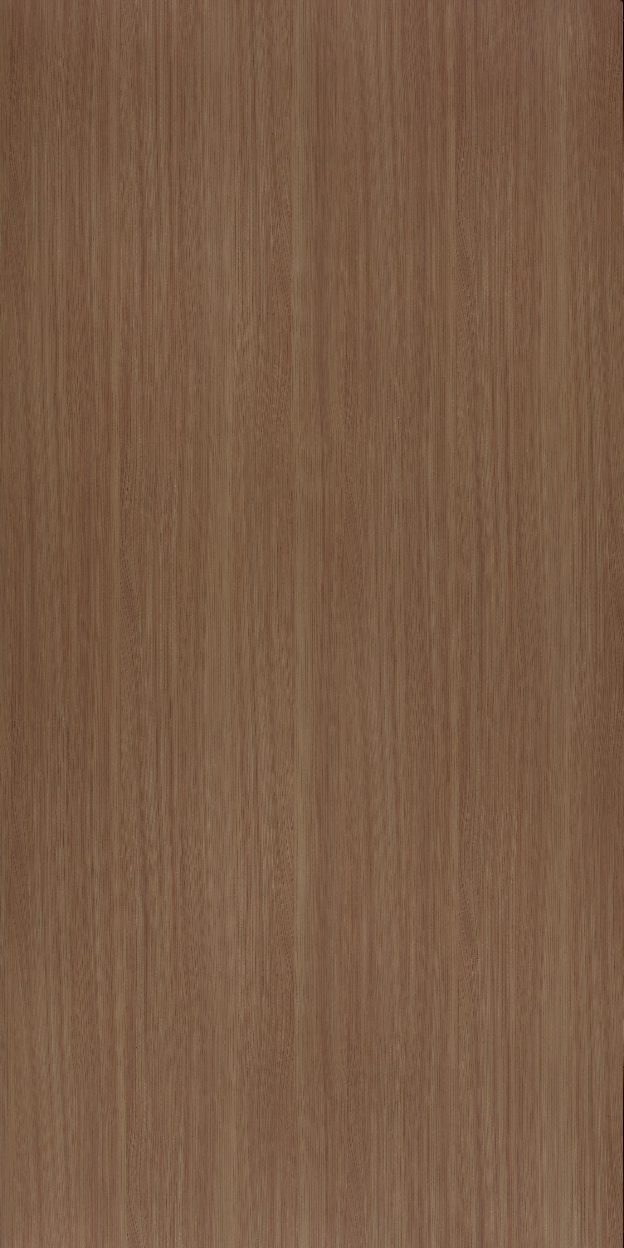 Vienna Elm Wood Laminate 8x4 ft Suede 0.8 mm - 10333 SF