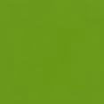Green Plain Laminate 8x4 ft High Gloss 1 mm - 1037 PHG