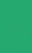 Mica Hanger Colour Parrot Green Plain Laminate 8x4 ft Suede 1 mm - 1037 SF