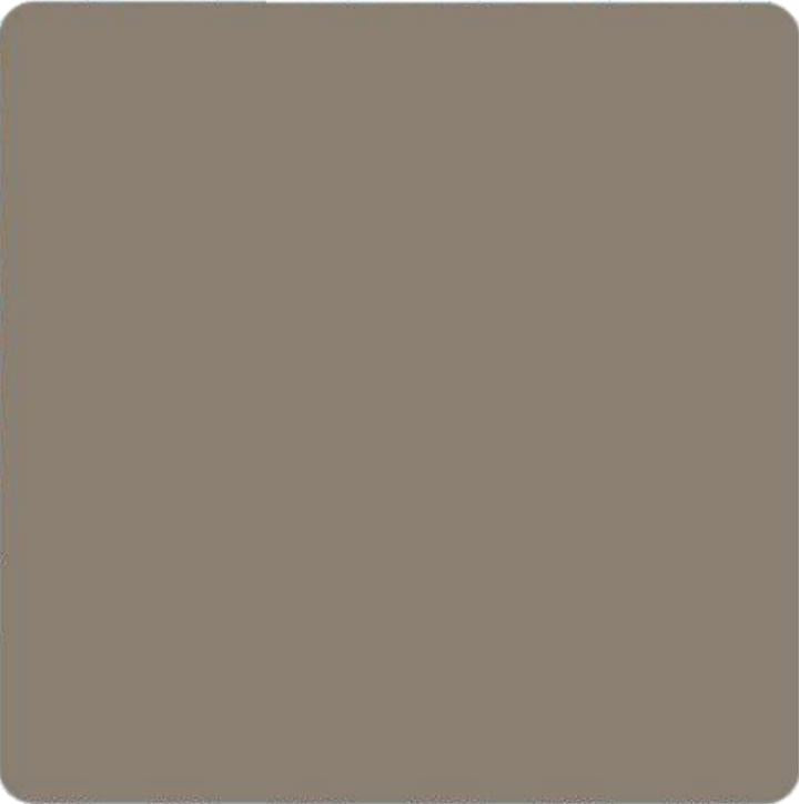 Gaunlet Grey Plain Laminate 8x4 ft 1 mm - 1047 PU