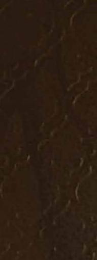 Grand Walnut Designer Laminate 8x4 ft 0.8 mm - 1052 MRC