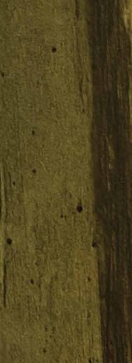 Brown wood grain laminate with dark spots and textured finish, showing natural wood pattern and slight sheen decorative