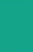 Green plain laminate with suede finish and smooth texture.