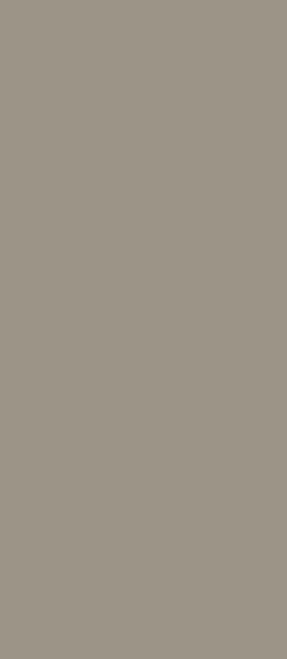 Dim Grey Plain Laminate 8x4 ft Matte 1 mm - 1067 SM