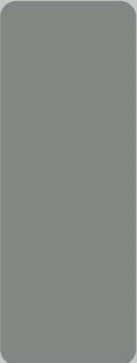 Cactus Plain Laminate 8x4 ft Super Matte 1 mm - 1069 SMT