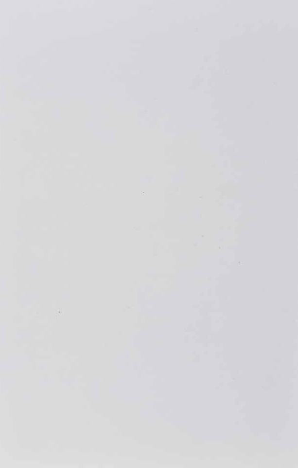 Designer White Plain Laminate 8x4 ft Texture 1 mm - 109 AFP