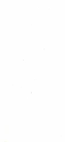 Super White Plain Laminate 8x4 ft Texture 1 mm - 11001 GAP