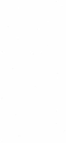 Egg White Plain Laminate 8x4 ft Texture 1 mm - 11002 FLT